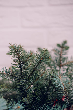 Christmas tree on a white brick wall background. selective focus.の写真素材