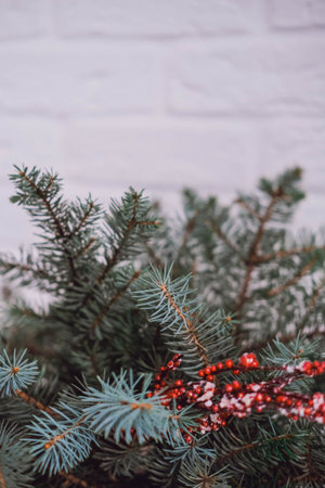 Christmas tree branches with red berries on a white brick wall background.