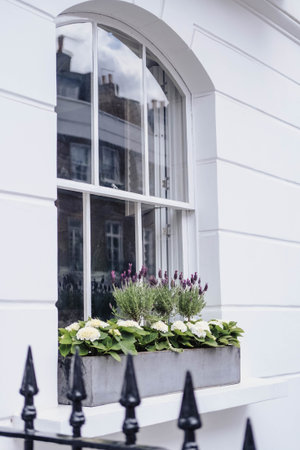 Flowerpot on the windowsill of a house in the Netherlands