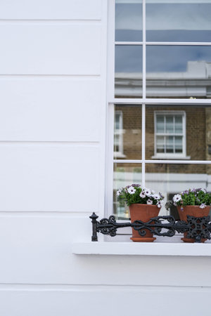 Flower pots on a window sill with white wall in background.の写真素材