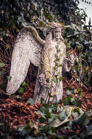 Angel on the cemeteryの写真素材
