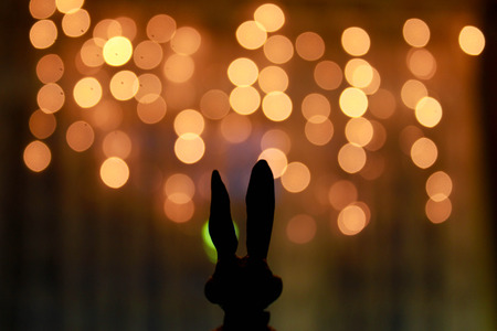 Hare earsの写真素材