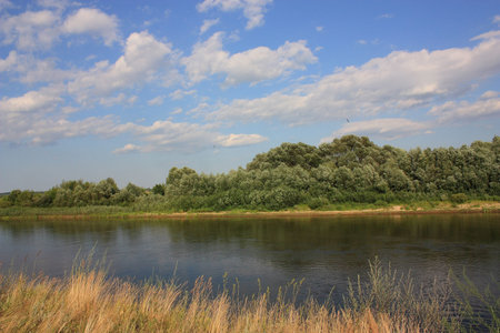 The river is a hot June afternoon