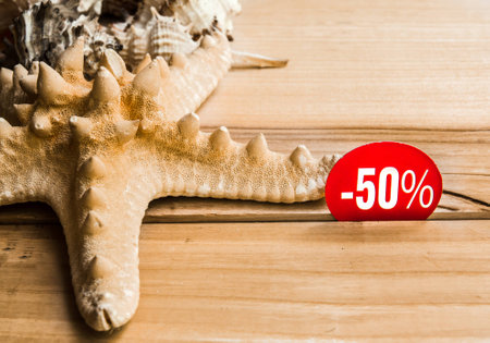 Collection of seashells on a wooden backgroundの写真素材