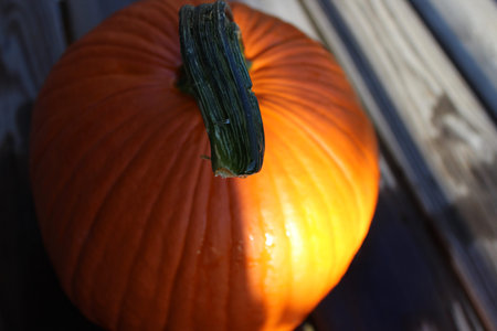 Close up of autumn pumpkin in natural daylight