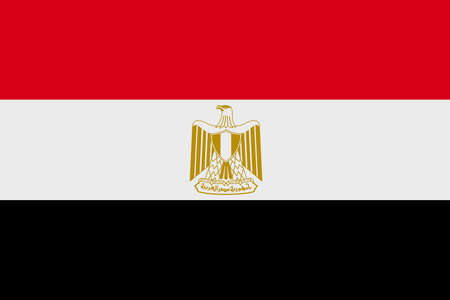 Egypt flag background illustration red white black Eagle of Saladinの写真素材