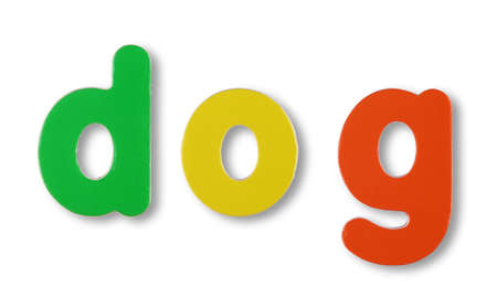Dog coloured magnetic letters on whiteの写真素材