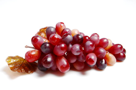 isolated grapesの写真素材