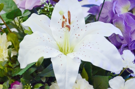 White lilies Bouquetの写真素材
