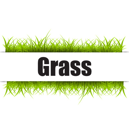 Green grass isolated on white background. Vector illustrationのイラスト素材