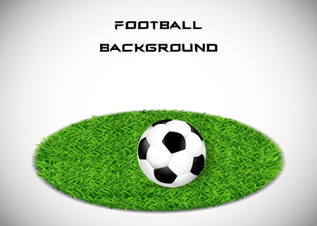 The ball on the grass soccer backgroundのイラスト素材