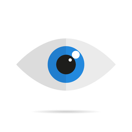 Icon eyes on a white background  with the shadow into flat styleのイラスト素材