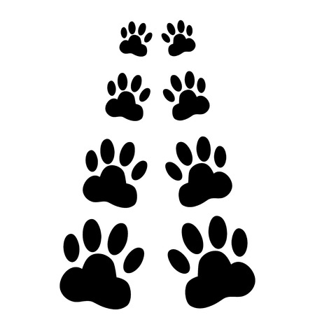 Dog paws following illustration on a white  backgroundのイラスト素材