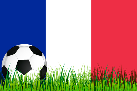 The ball in the grass in the background flag of Franceのイラスト素材