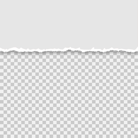 Torn a half sheet of grey paper on a isolated background, vector illustrationのイラスト素材