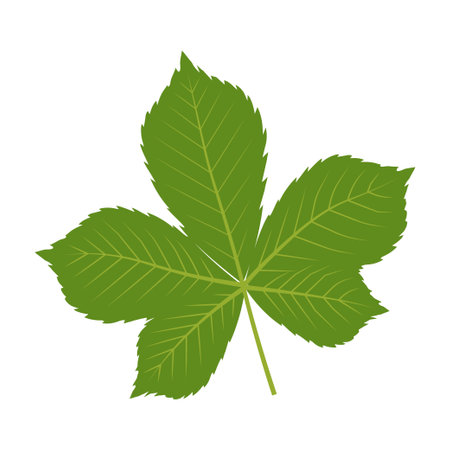 Chestnut leaf. Leaf in flat style.のイラスト素材