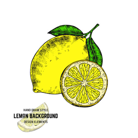 Sketches of lemon. Lemon print for packaging, pattern, label.のイラスト素材