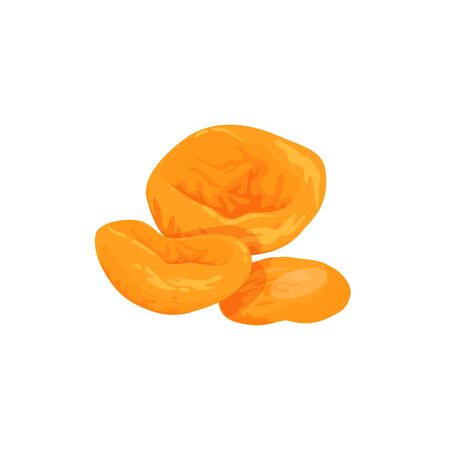 Composition of apricots, dried fruits isolated icon. Cartoon fruit element for food design of labelのイラスト素材