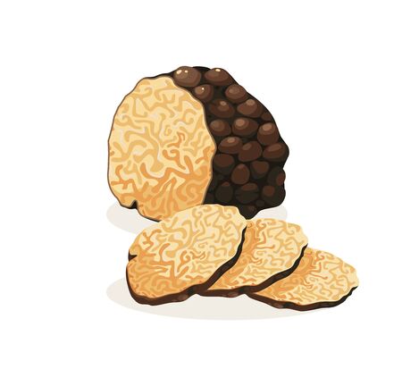 Black truffle mushroom cartoon illustration. Element for packaging design,  Delicatessen French products.のイラスト素材