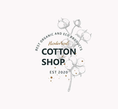 Vector logo of natural shop with image cotton flower on light background.のイラスト素材
