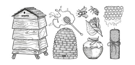 Honey icon  elements in sketch style. Engraved line art. Bees, wax honeycomb, bee house.