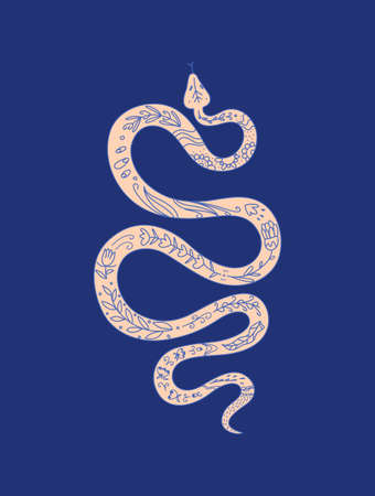 Vector Snake Graphic Element For Tattoo Or Sticker Coiled Snake With Ethnic Ornament Isolated Illustration のイラスト素材 イメージマート