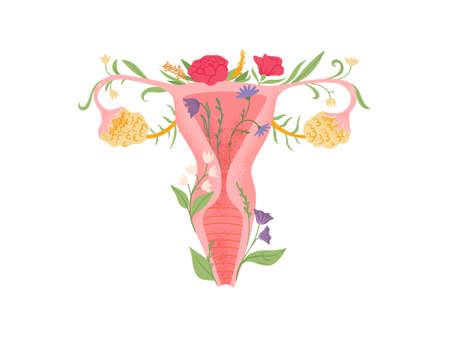 Female reproductive system vector cute illustration with flowers. Woman womb and vagina concept abstract style.のイラスト素材
