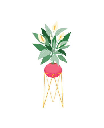 Potted house plant vector icon. Spathiphyllum flowering plant on stand. Indoor plant with beautiful tropical foliage.のイラスト素材