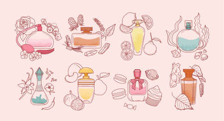 Vector icon set of different perfume bottles with ingredients. Perfume types illustration.のイラスト素材
