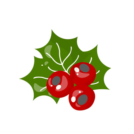 Holly berry vector icon. Christmas symbol, holiday plant isolated on white background, winter illustration. In hand-drawn style.のイラスト素材