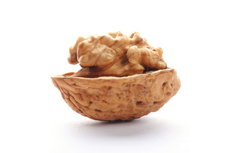 close-up of a walnut isolated on white backgroundの写真素材