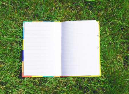 A blank opened book outdoors lying on the green grass.の写真素材