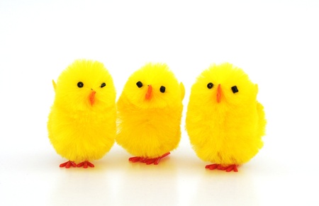 easter chicken decorations isolated on white backgroundの写真素材