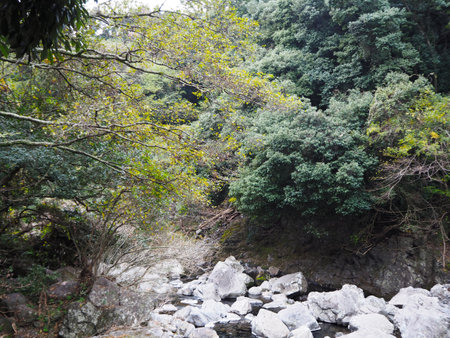 Cheonjeyeonpokpo Falls in Jeju Island, South Koreaの写真素材