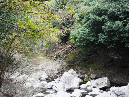 Cheonjeyeonpokpo Falls in Jeju Island, South Koreaの写真素材