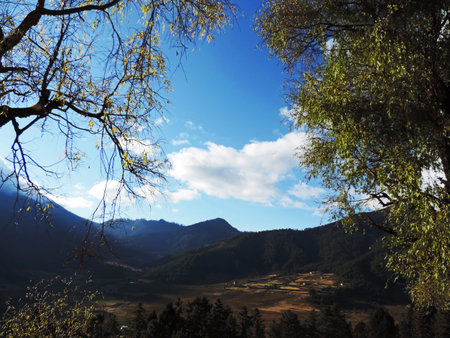 Landscape view of the mountains and forest with the blue sky.の写真素材