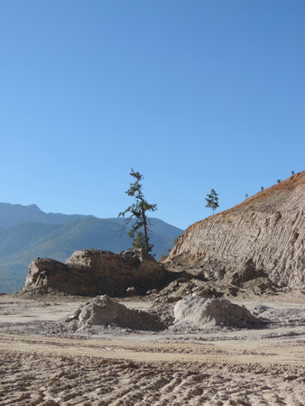Lonely tree in the desert. Altai, Siberia, Russiaの写真素材