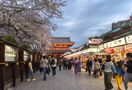 TOKYO, JAPAN - April 12, 2017: Sakura cherry blossom at Sensji, also known as Asakusa Kannon Temple  is a Buddhist temple located in Asakusa. It is one of Tokyo's most colorful and popular temples.のeditorial素材