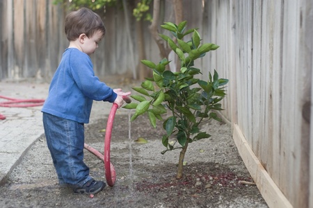 Boy watering a small treeの写真素材
