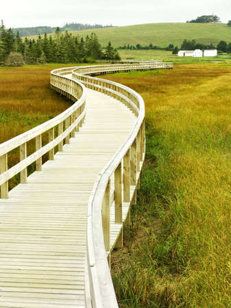 Narrow footway leading to homeの写真素材