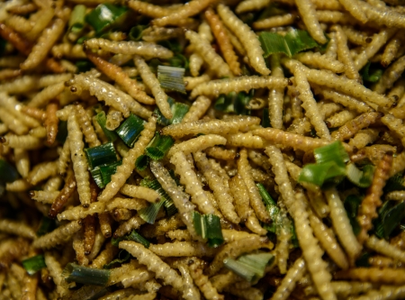 Fried wormsの写真素材