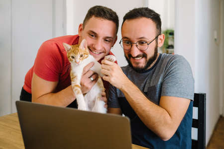 Stock photo of two caucasian adult men sitting at a table. One of them is working with a laptop and the other is helping him with his smartphone.の写真素材
