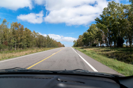 View from a car of the empty road at sunset.の写真素材