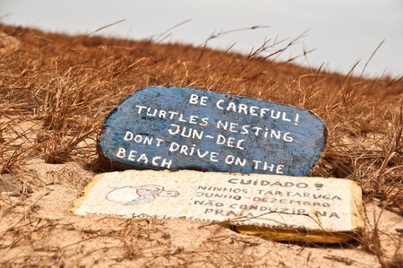 Loggerhead turtles nesting warning sign on the beaches of the island of Boa Vistaのeditorial素材