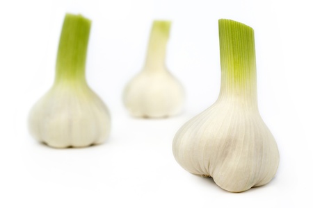 fresh garlic bulbs isolated on white backgroundの写真素材