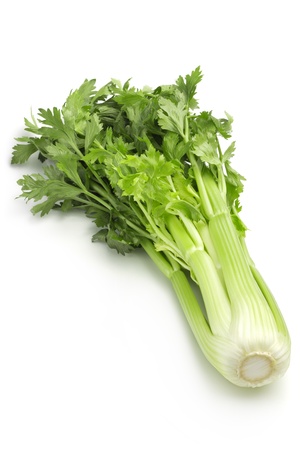 green celery isolated on white backgroundの写真素材