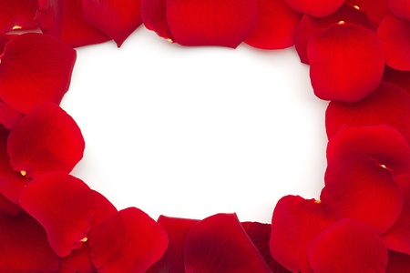 close up of a frame with red rose petalsの写真素材