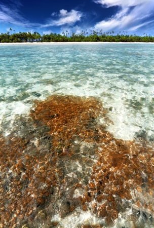 tropical coral reef in a beautiful lagoonの写真素材