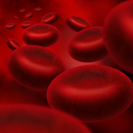 red blood cells flowing in an arteryの写真素材
