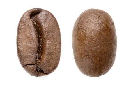 close up of a coffee bean front and backの写真素材